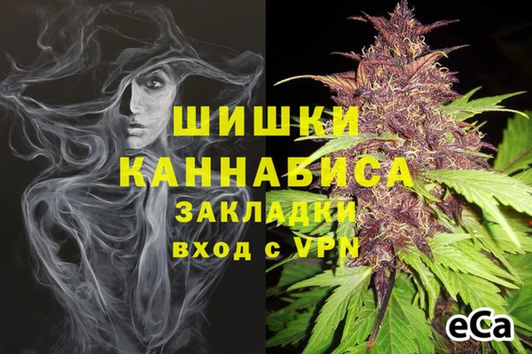 a pvp Аркадак