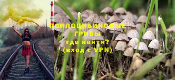 a pvp Аркадак